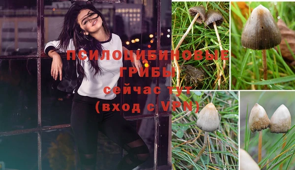 герыч Лиски