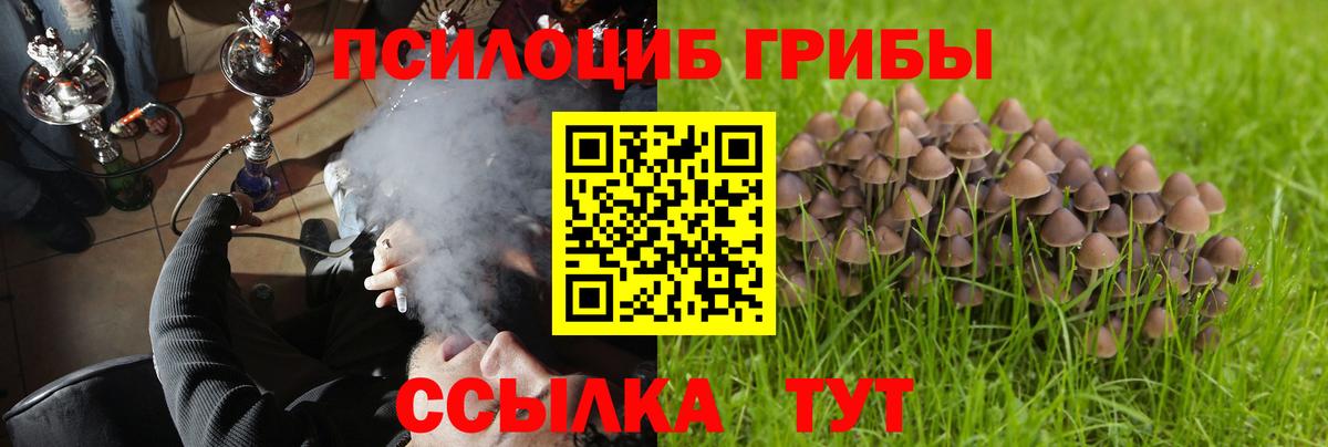 Галлюциногенные грибы Psilocybine cubensis  Еманжелинск 