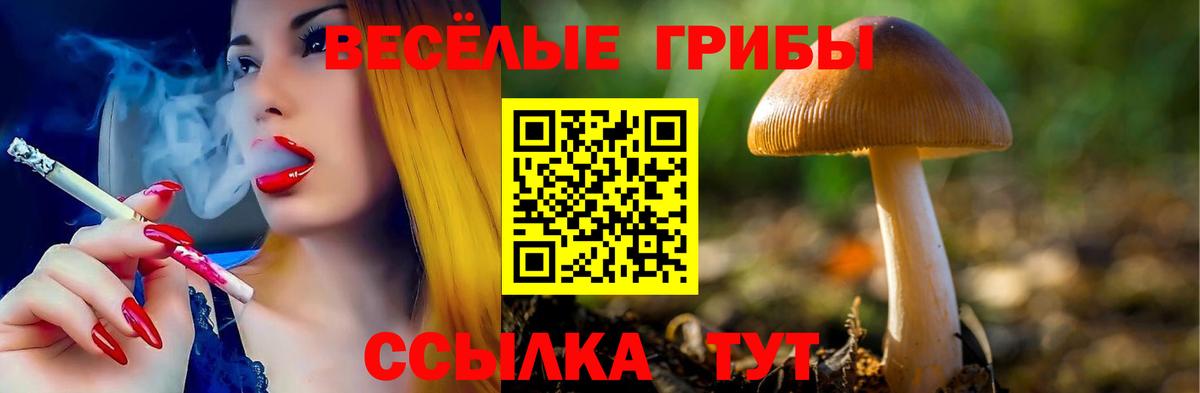 Галлюциногенные грибы Psilocybine cubensis Еманжелинск